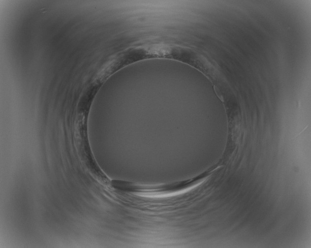 X0000079320229200612011850