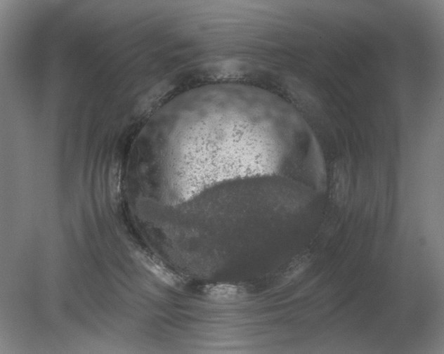 X0000079320230200612011850