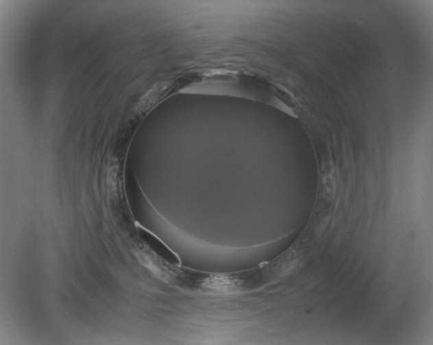 X0000079320231200612011850