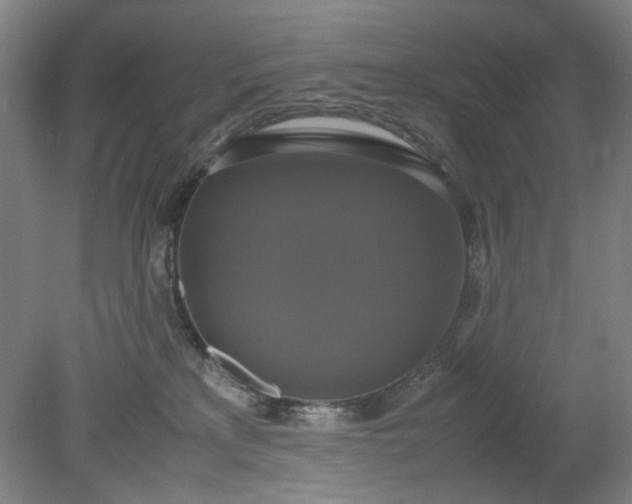 X0000079320233200612011850