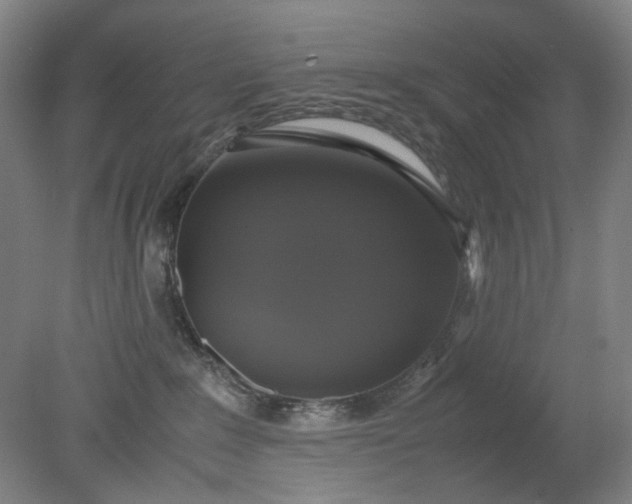 X0000079320235200612011850