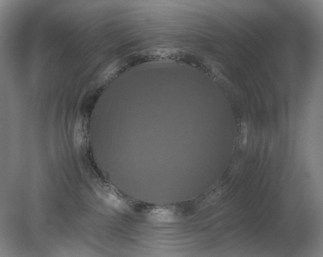 X0000079320236200612011850