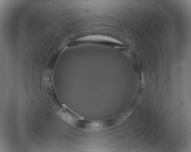 X0000079320237200612011850