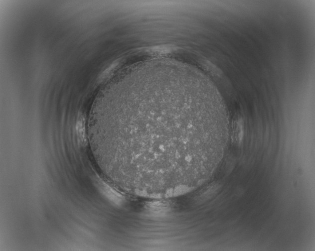 X0000079320238200612011850