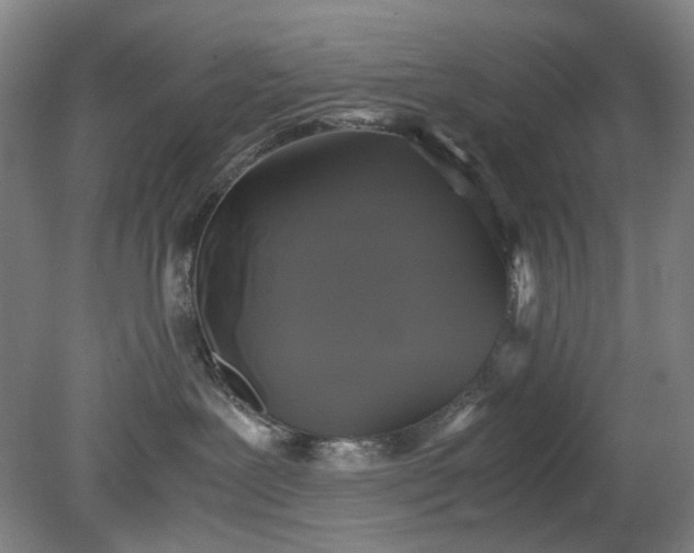 X0000079320239200612011850