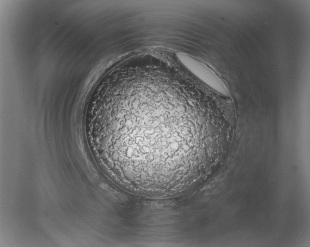 X0000079320241200612011849