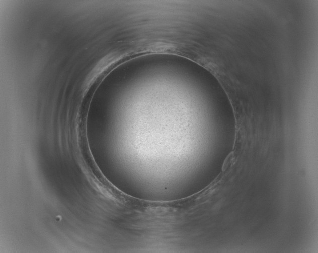 X0000079320242200612011849