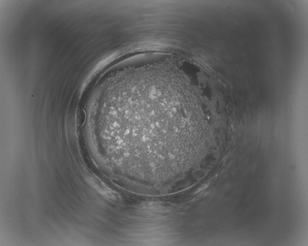 X0000079320244200612011849