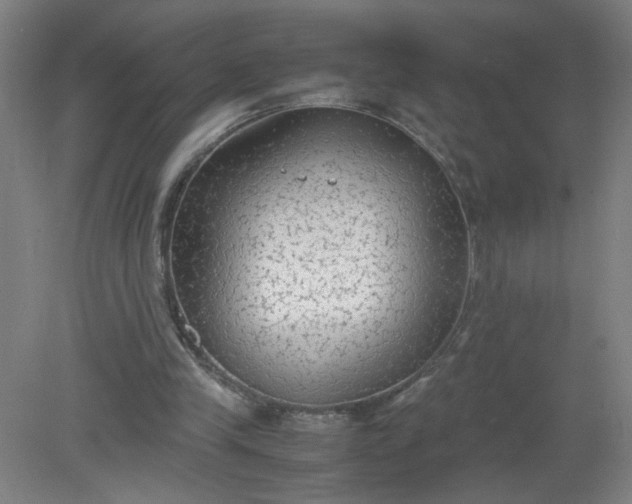 X0000079320245200612011849