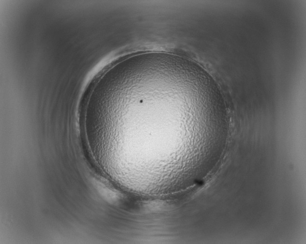 X0000079320246200612011849