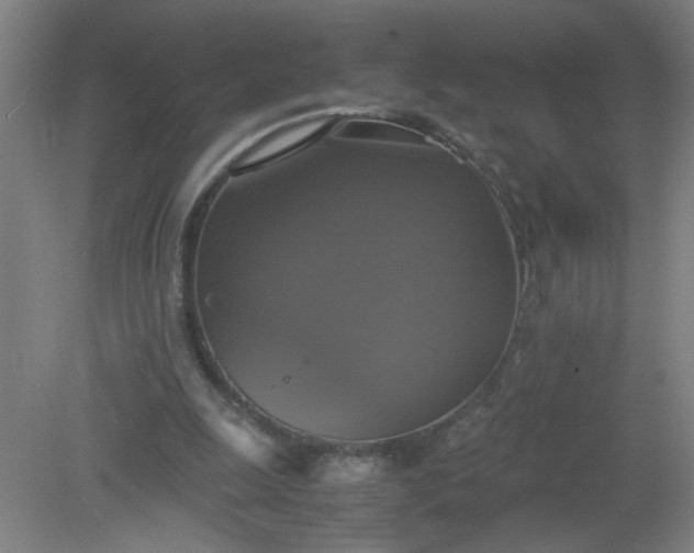 X0000079320247200612011849