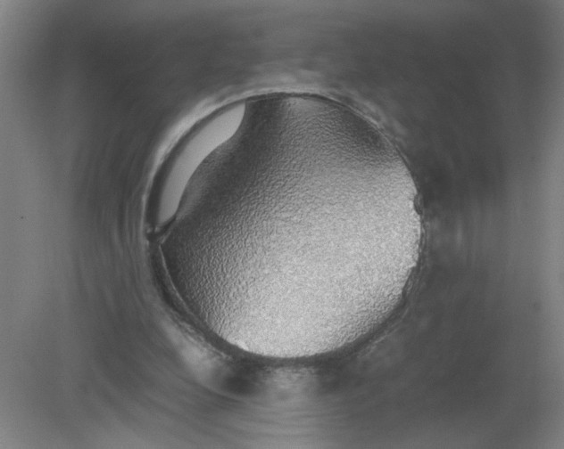 X0000079320248200612011849