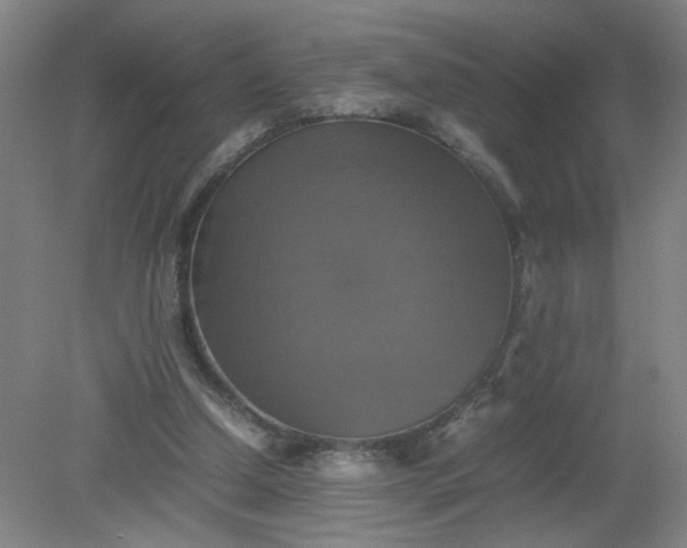 X0000079320250200612011849