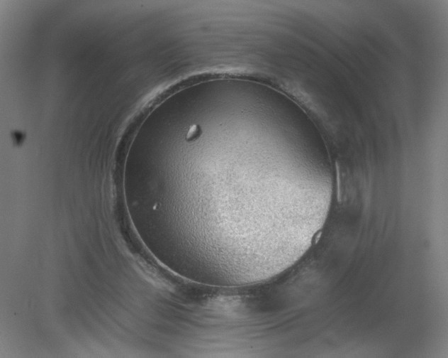 X0000079320252200612011849