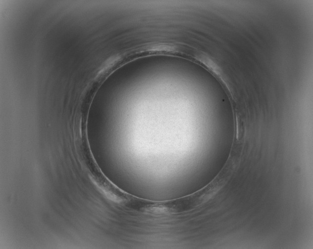 X0000079320253200612011849