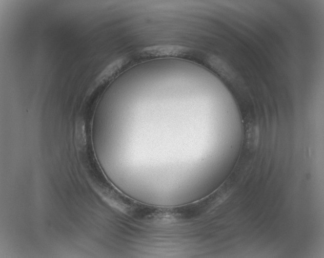 X0000079320254200612011849