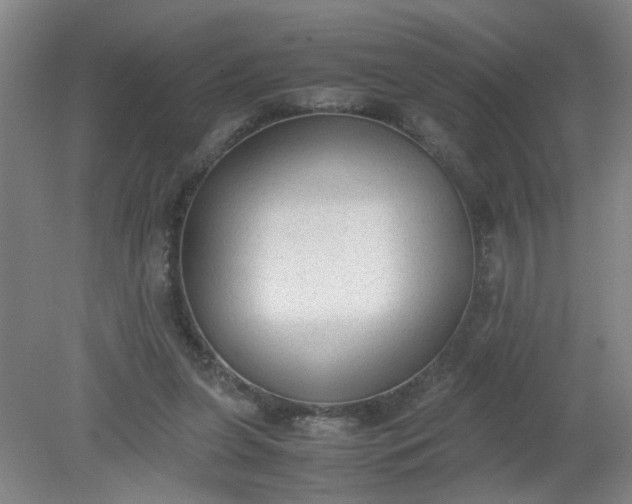 X0000079320255200612011849