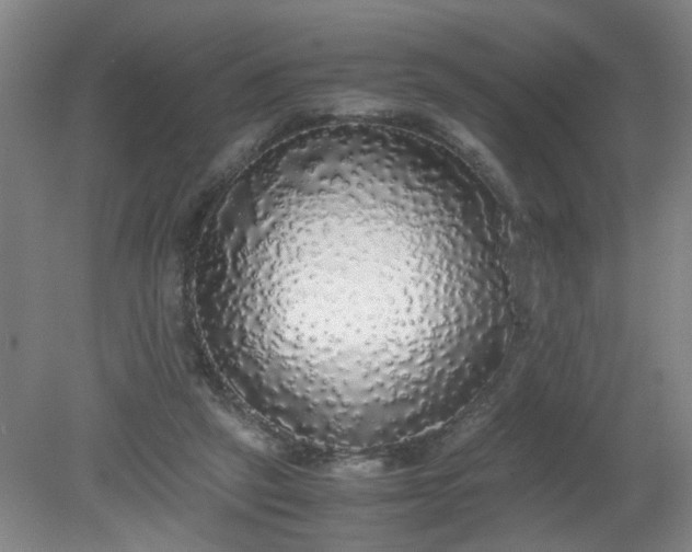 X0000079320257200612011849