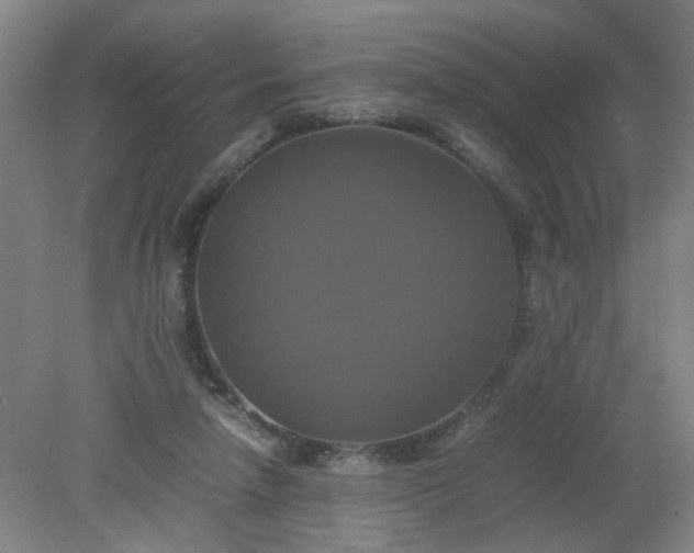 X0000079320258200612011849