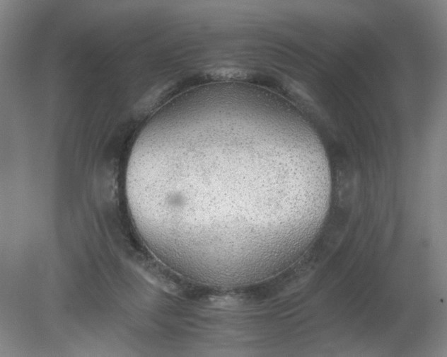 X0000079320259200612011849