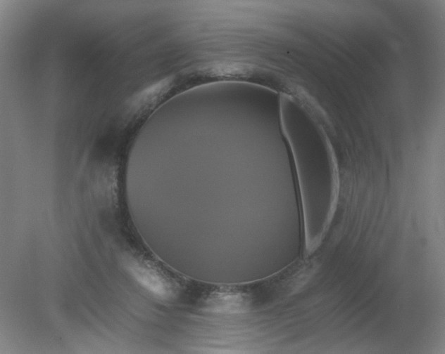 X0000079320260200612011849