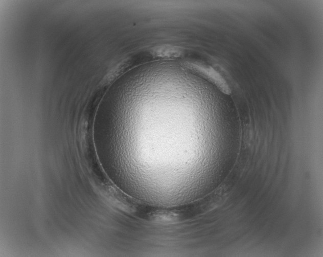 X0000079320263200612011850