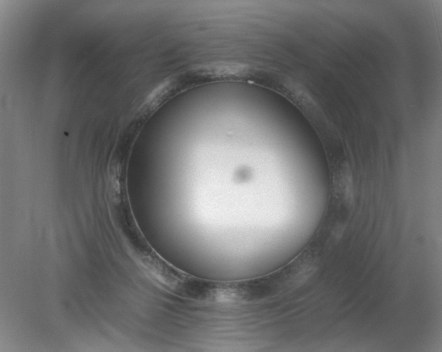 X0000079320264200612011850