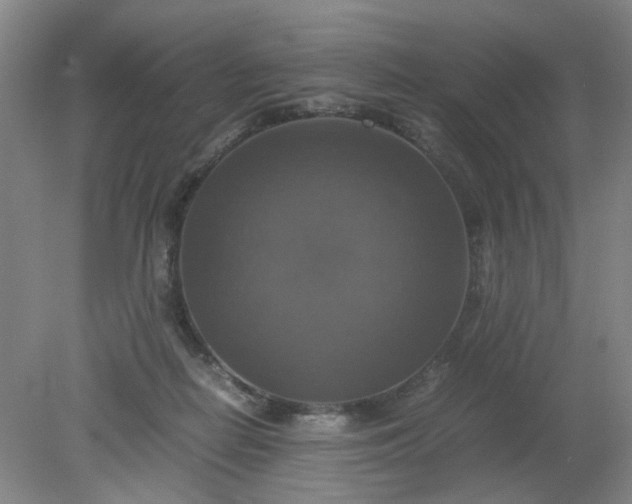 X0000079320266200612011850