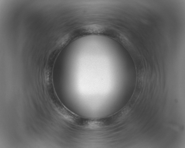 X0000079320268200612011850