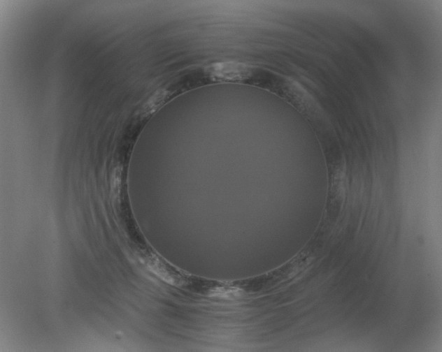 X0000079320271200612011850