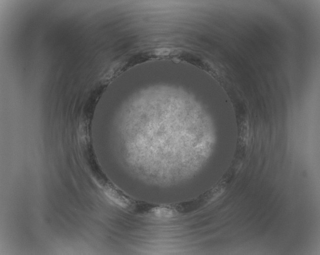 X0000079320272200612011850