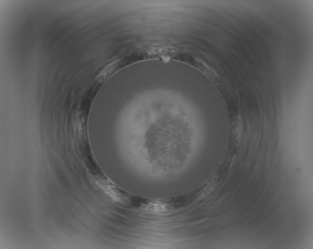 X0000079320276200612011850