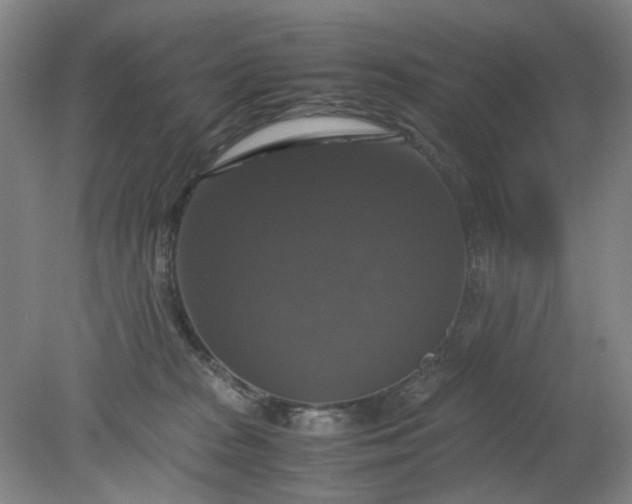 X0000079320277200612011850