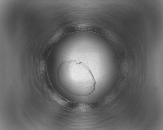 X0000079320278200612011850