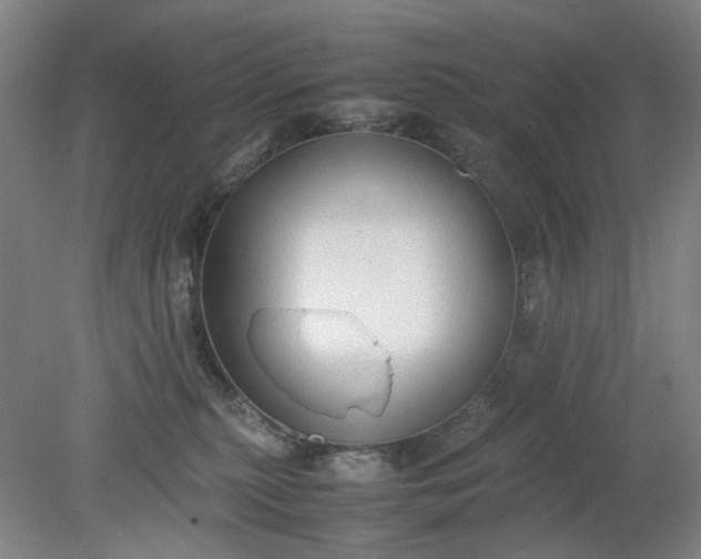 X0000079320279200612011850