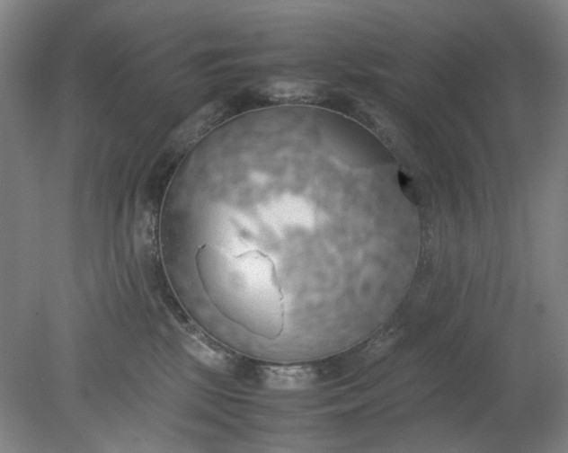 X0000079320281200612011850