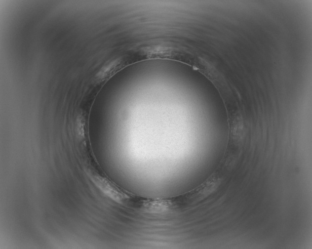 X0000079320282200612011850