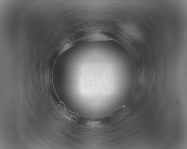 X0000079320283200612011850