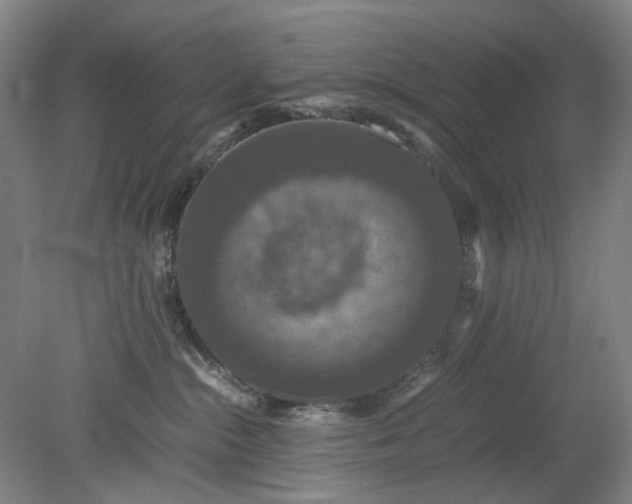 X0000079320284200612011850