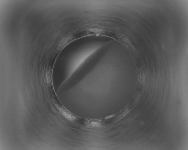 X0000079320285200612011850