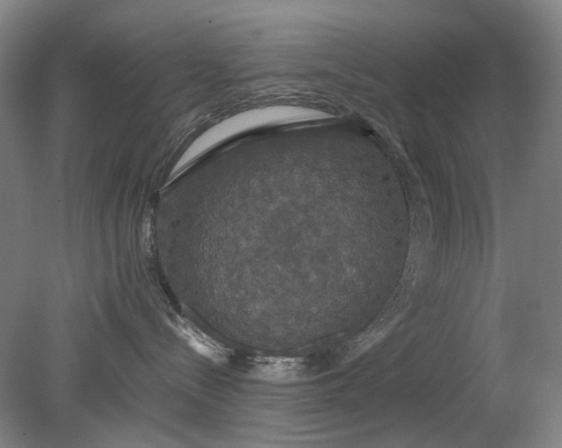 X0000079320288200612011850