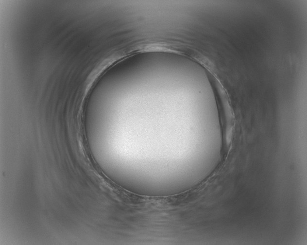 X0000079320289200612011849