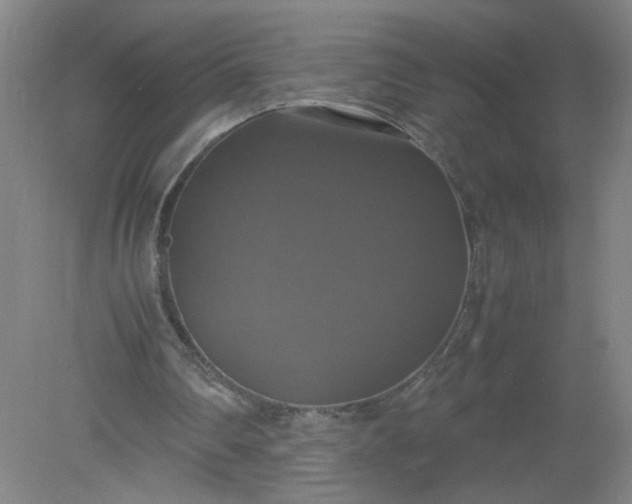 X0000079320290200612011849