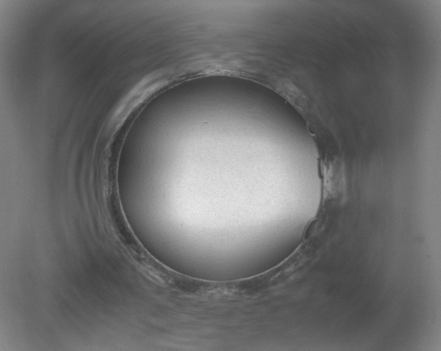 X0000079320291200612011849