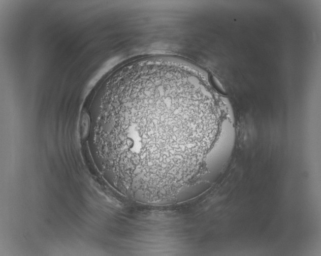 X0000079320292200612011849