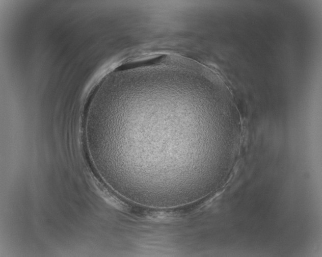 X0000079320293200612011849