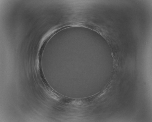 X0000079320294200612011849