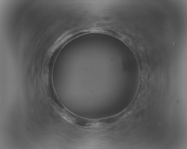 X0000079320295200612011849