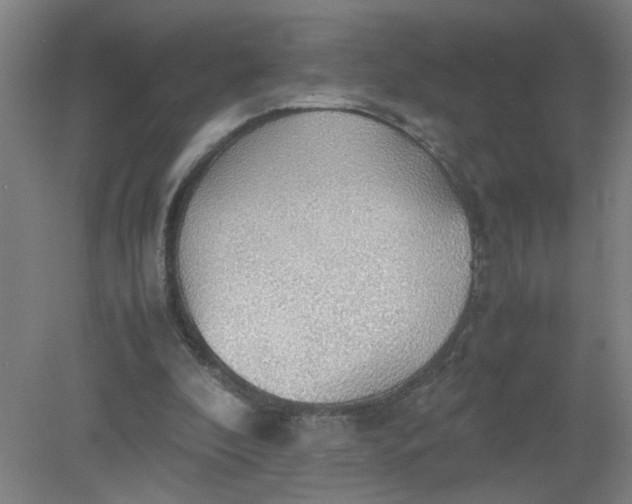 X0000079320296200612011849