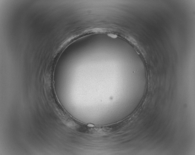 X0000079320297200612011849